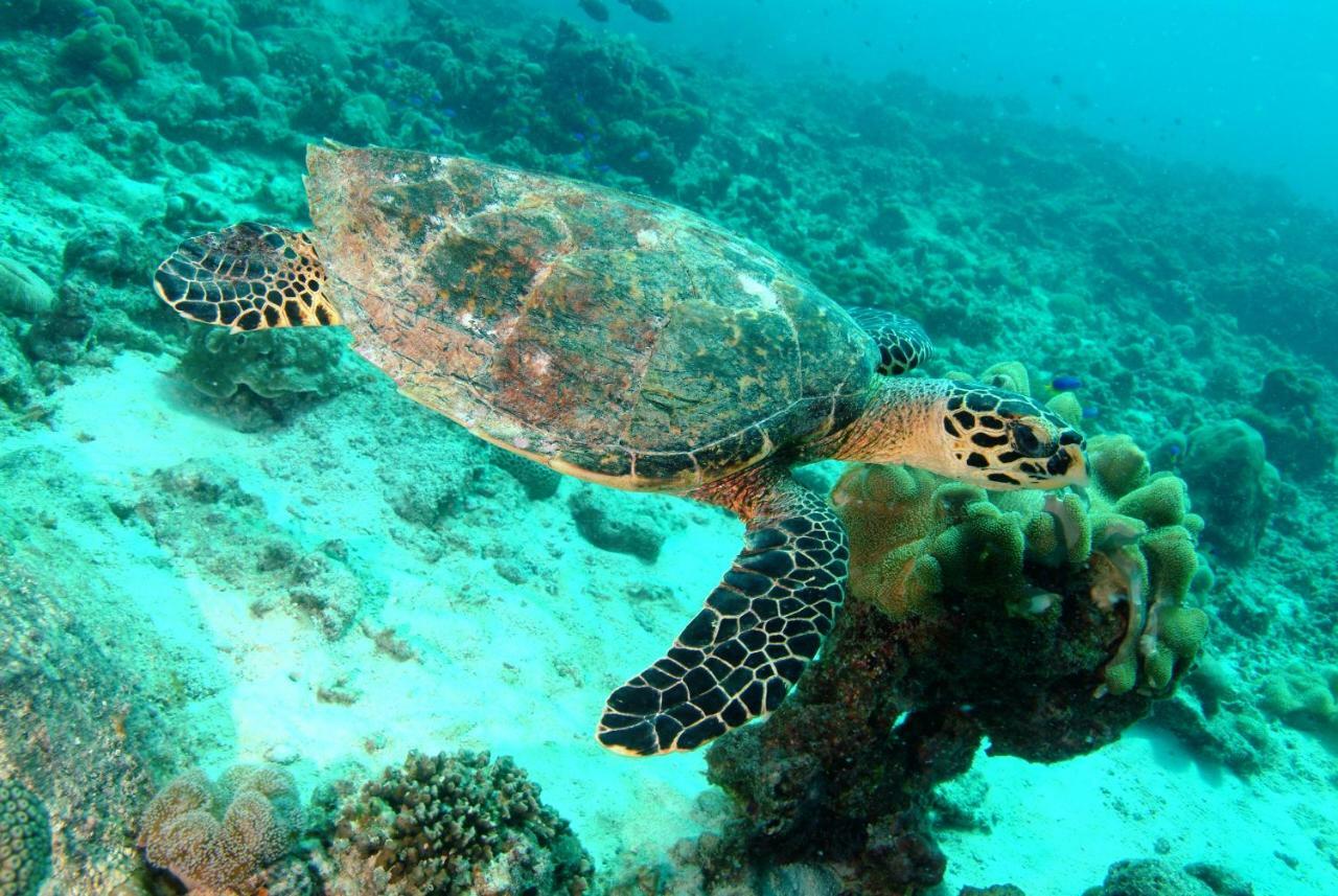 Savoy Seychelles & Beau Vallon (Mahe)